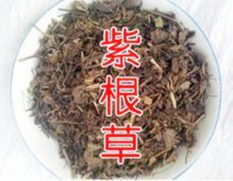 传统滋补中草药 紫根草 冷备稀有地道药材 恢复甲状腺