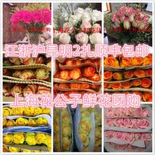 包月 包邮 上海同城家庭用教师节花束江浙沪2扎 新鲜花玫瑰花说速递