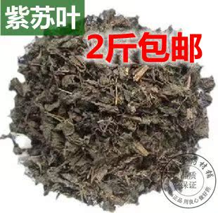 中药材 紫苏叶天然晾晒苏叶 500克满2斤包邮 野生紫苏中草药批发