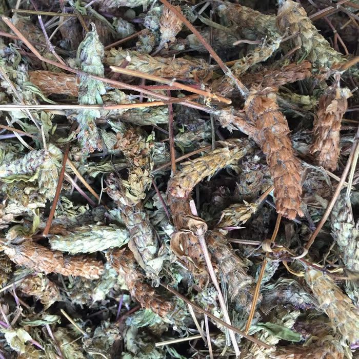 乐昌野生夏枯草茶夏枯球麦穗夏枯草铁线夏枯草白毛夏枯草凉茶500g
