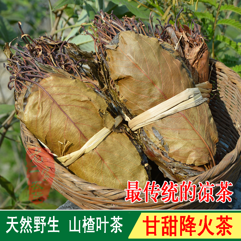 连州野生纯山楂叶干 山楂树叶子开健胃梨楂茶 降火凉茶500克包邮