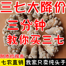 500g代磨粉 云南文山春三七无剪口20头30头40头60滑头田七粉正品
