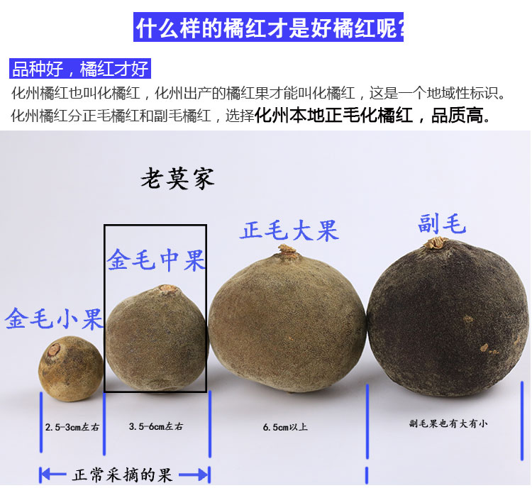 化州橘红 正宗化州橘红果切片化痰久咳化橘红果茶 孕妇小孩可用