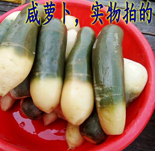 特价东北腌制咸萝卜青萝卜绿萝卜咸菜大缸腌大长白脆萝卜咸菜噶瘩