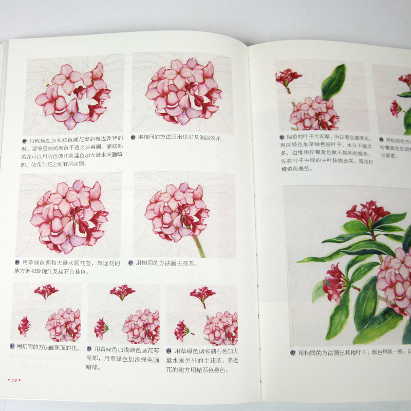 绘画技法三木焱圭水彩画完全自学教程书籍水彩书水彩画教程水彩画入门