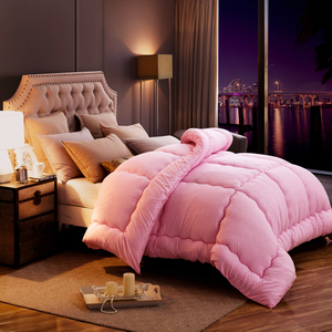 南极人加厚保暖冬季被芯