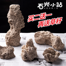 包邮 吸水石上水石盆景假山尾货原石毛石观赏石镇宅石超低价格 特价