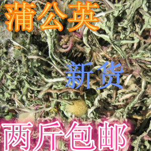 中药材蒲公英 野生蒲公英 500克两斤包邮蒲公英茶 花茶草药