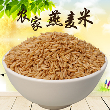 野麦 雀麦 250g 农家燕麦粒 新货 燕麦仁 沂蒙山优质 燕麦米