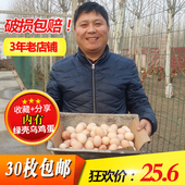 25.6元 30枚 胖子农家土鸡蛋笨鸡蛋草鸡蛋柴鸡蛋山鸡蛋林间散养