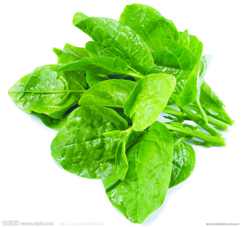 【木耳菜种子】豆腐菜 落葵 篱笆菜 御菜 紫豆菜 四季