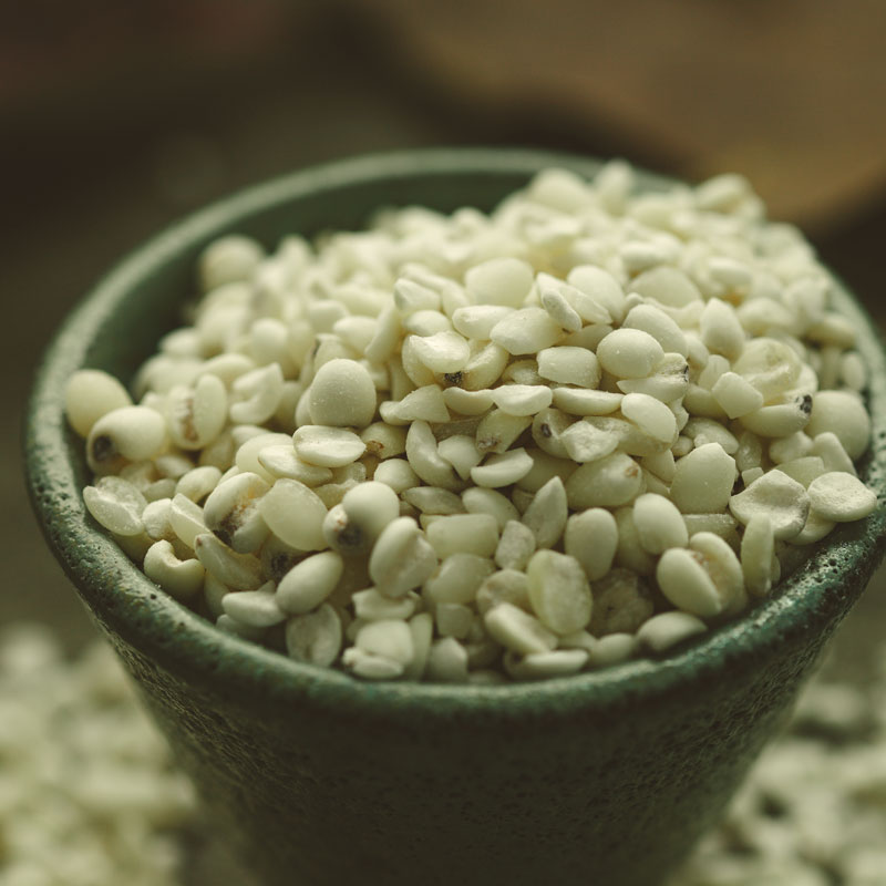 福建宁化薏米  小薏米仁400g