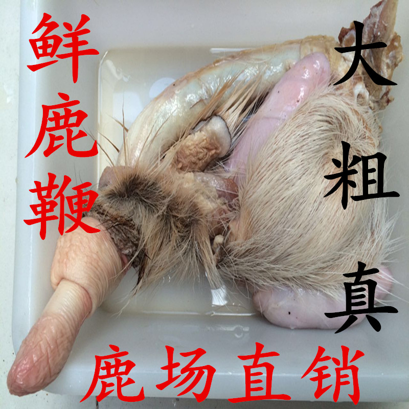 梅花鹿鞭整枝鹿鞭鹿鞭鲜鹿鞭成年种鹿鹿鞭腰腿疼痛正品包邮