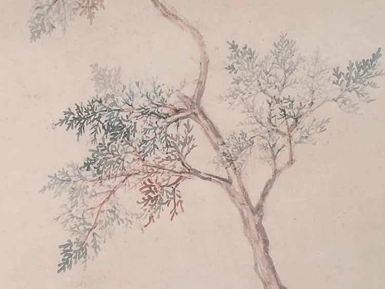 邹一桂翠柏双喜工笔花鸟画国画艺术微喷古代名画复制品客厅装饰画