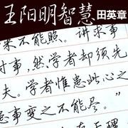 成人行书行楷字帖 大学生中学生硬笔练字 田英章钢笔临摹练字贴