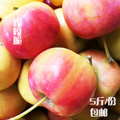 包邮 沙果小苹果孕妇水果新鲜现摘现发一份5斤 东北特产海棠果