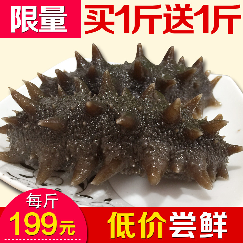 大连即食海参500g纯野生辽参纯天然深海高压冷冻滋补刺参礼盒促销