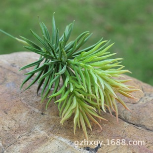 松针 仿真多肉植物 艺术插花花艺 松针 植物墙相框多肉配材