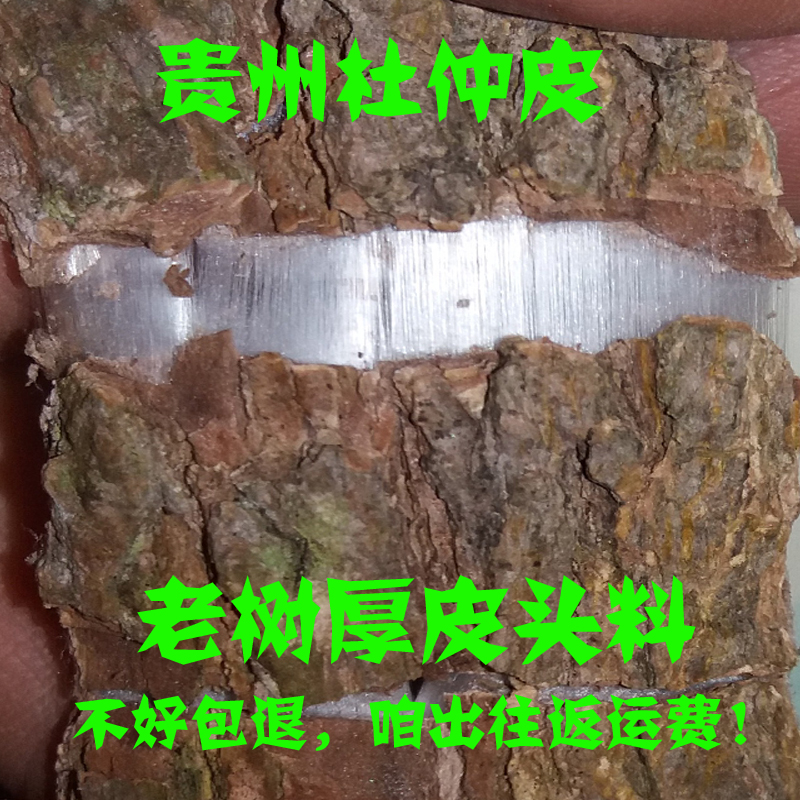 精选头层贵州野生老树杜仲厚皮杜仲叶 杜仲茶 杜仲粉500g现货包邮