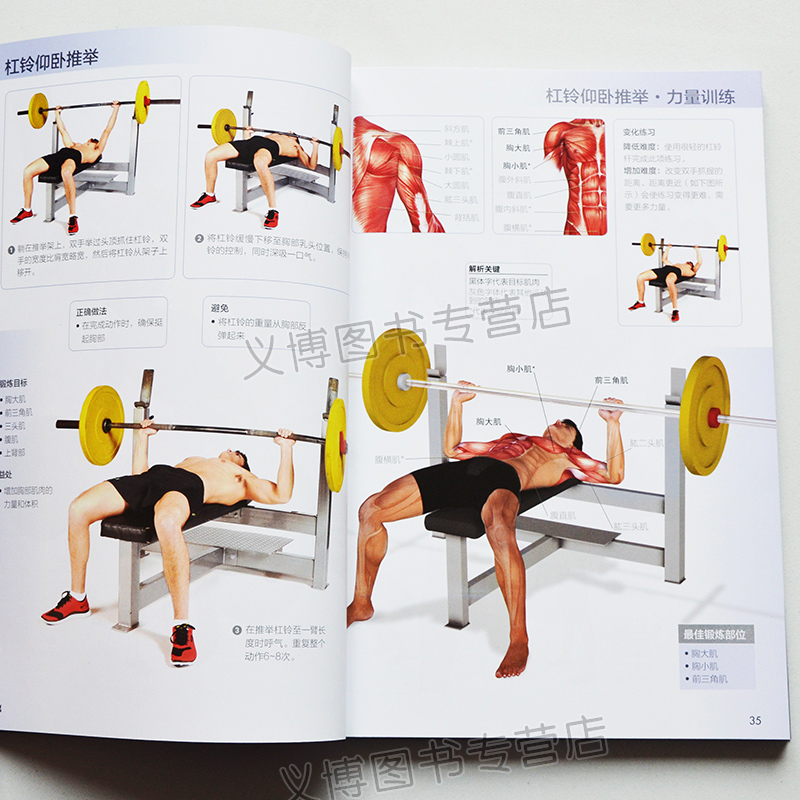 运动减肥书籍 无器械健身书 肌肉训练书籍 塑造完美身材 运动书籍