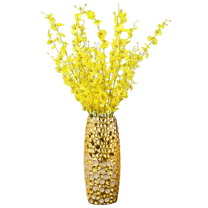 欧式陶瓷花瓶摆件 大号落地干花家居装饰品 客厅电视柜插花花艺怎么样,伽马旗舰店好吗, 宜购网"欧式陶瓷花瓶摆件 大号落地干花家居装饰品 客厅电视柜插花花艺"由淘宝商家"伽马旗舰店"提供,淘宝价178.00元。宜购网通过严格筛选,为您提供优质、正品商品,商家已通过淘宝店铺实名认证并加入《消费者保障服务协议》,请放心购买。