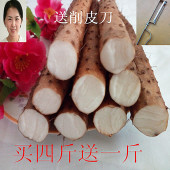 河南特产 包邮 作温县铁棍淮山药约5斤超值铁杆怀山药 新鲜焦