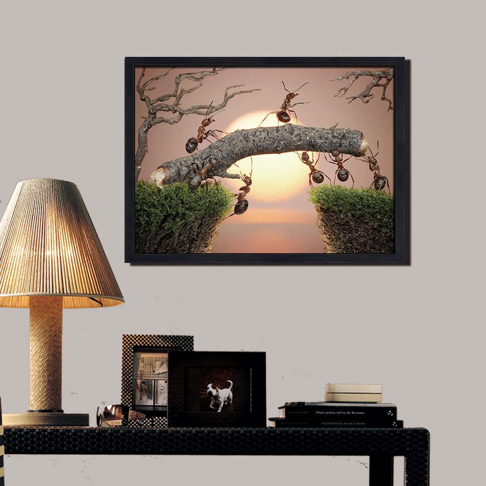 正品[美女穿性感开裆小内裤]美女穿开裆评测 开