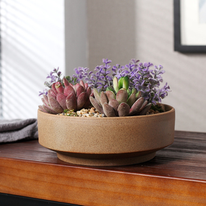 陶瓷桌面多肉植物花盆