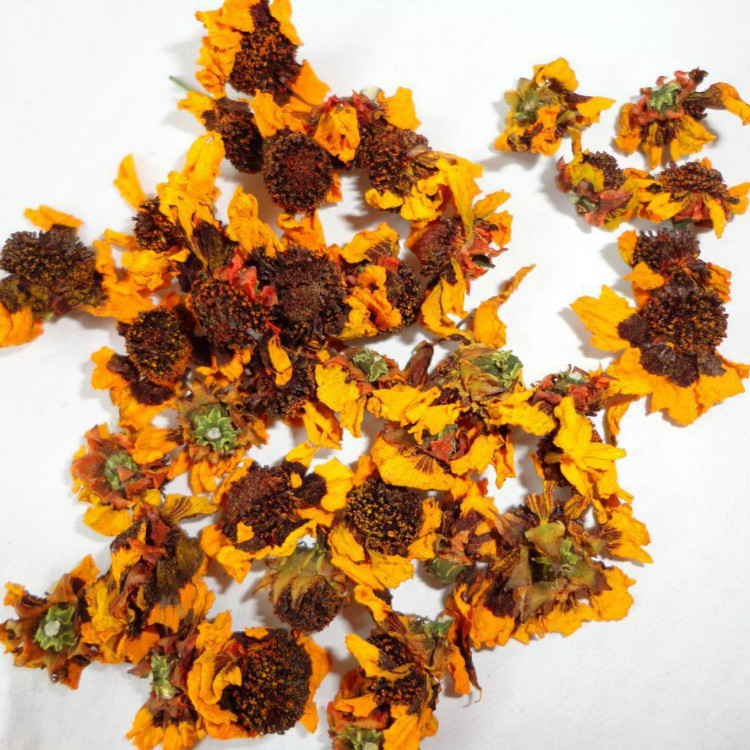 西藏野生雪菊 高原冰山雪菊王50g/盒 养生茶高山菊花茶买三赠一