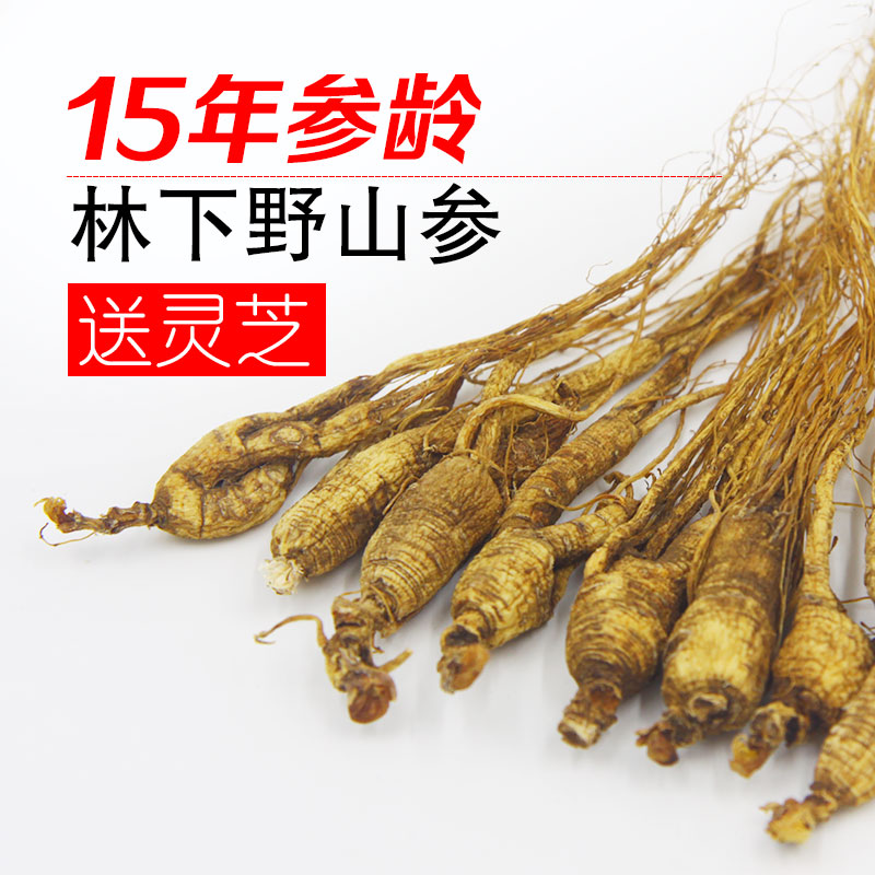 东北人参 野山参15年长白山野生林下参移山参特产干货泡酒礼品30g