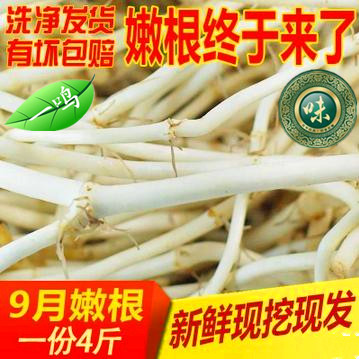 （天天特价） 一鸣百味 农家自产新鲜鱼腥草（节节根.折耳根）
