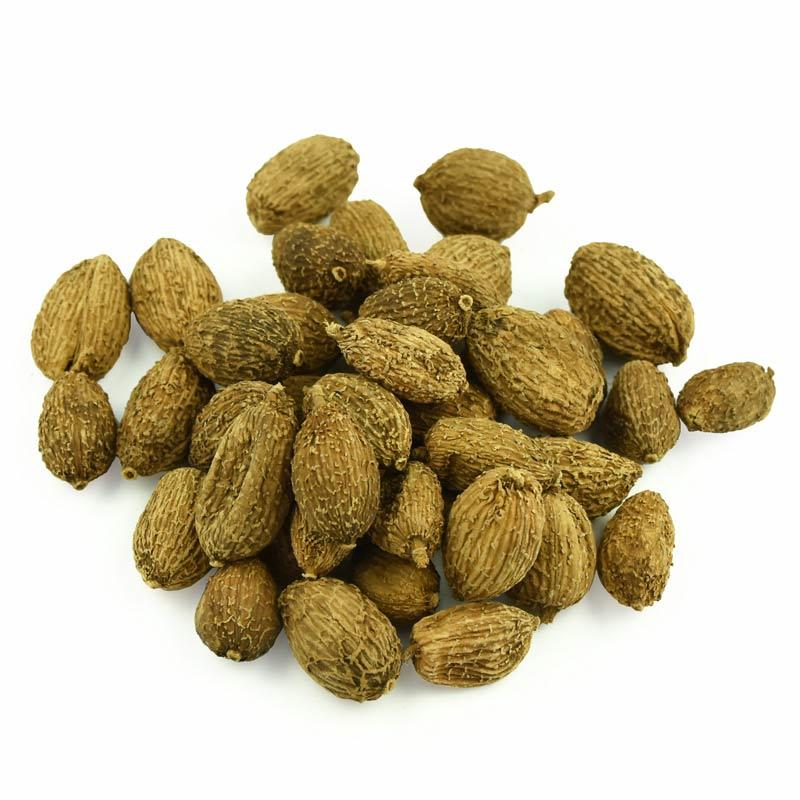 壳砂仁 砂仁缩沙蜜缩砂仁阳春砂仁500克砂仁香料