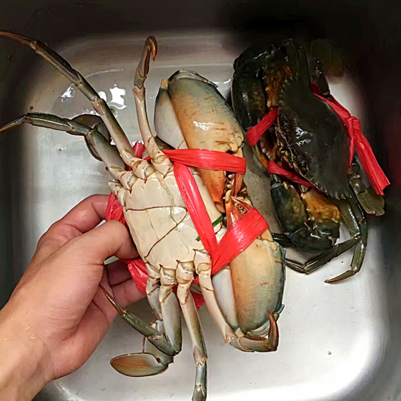 渔民深海大青蟹大海蟹大螃蟹公蟹肉蟹鲜活海鲜现货500克顺丰礼品