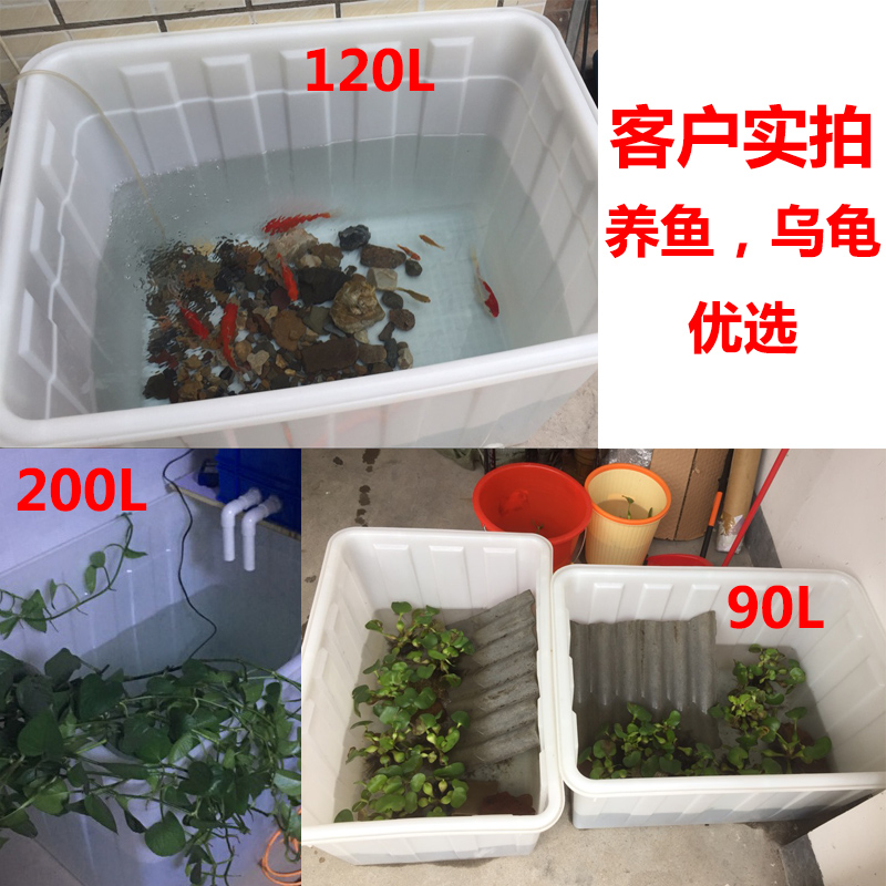 周转箱塑料水箱养鱼养龟箱家用储水箱水产养殖塑料方箱泡瓷砖水桶