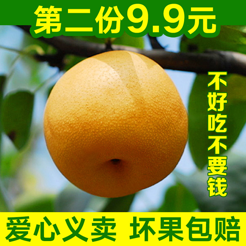 ˮƻɴƤԷѩѼ湱5