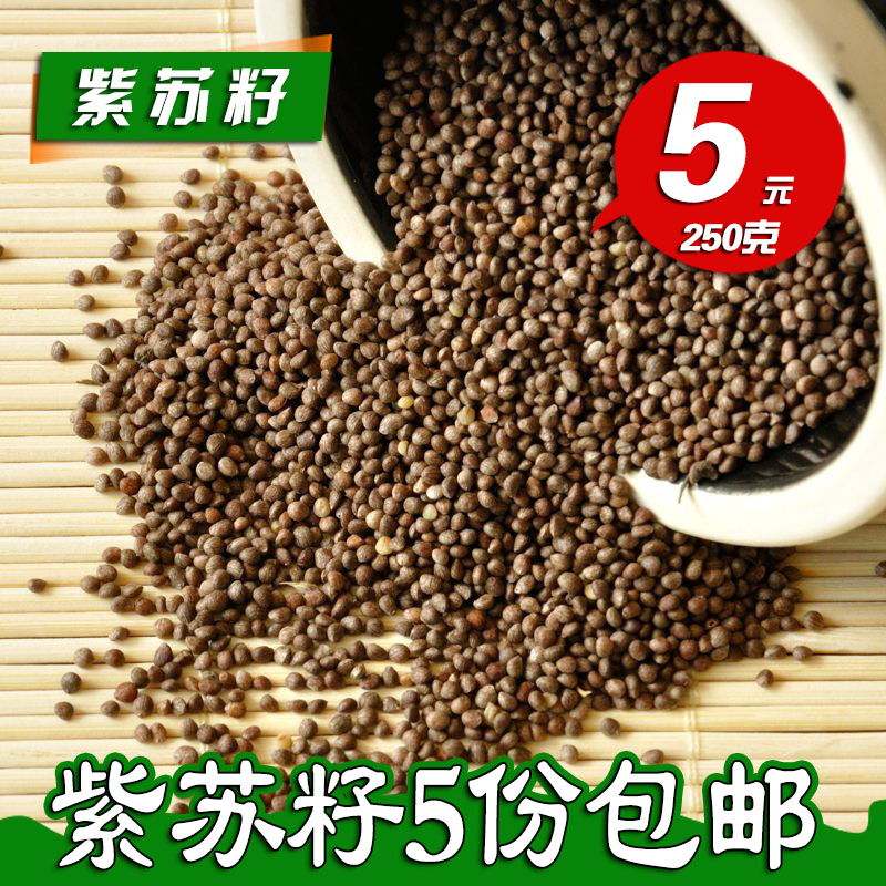 新货东北紫苏子籽250克 正宗长白山紫苏籽 深灰紫苏子榨油机原料