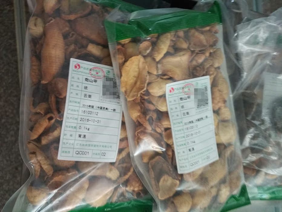 山甲珠炮山甲炮甲珠山甲鳞片炙甲珠疏通乳腺通乳消硬块过敏30g