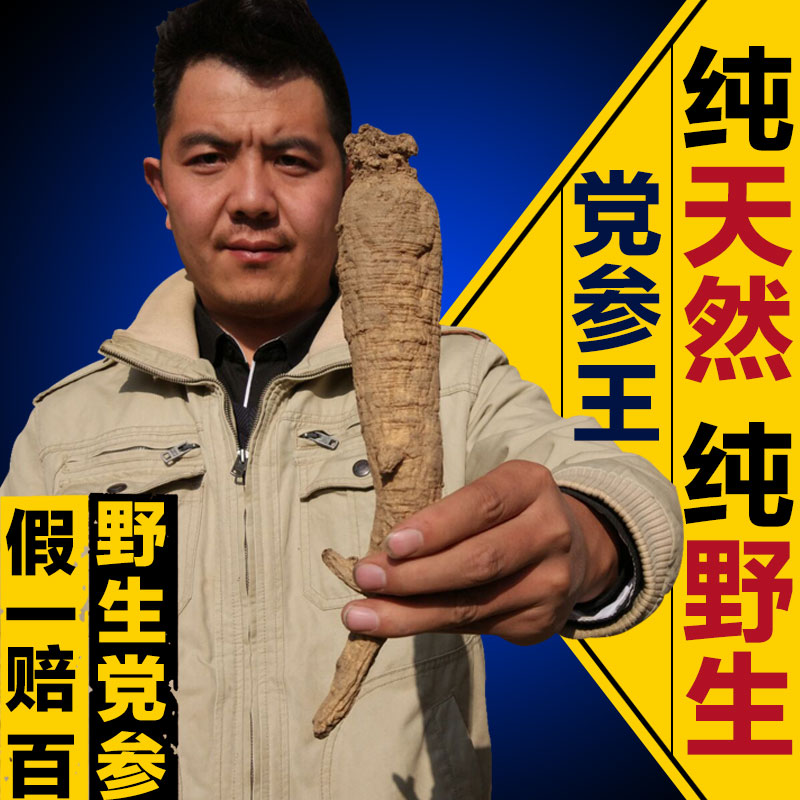 甘肃天然野生党参特级无硫纹党参可切段搭配黄芪当归农家滋补品