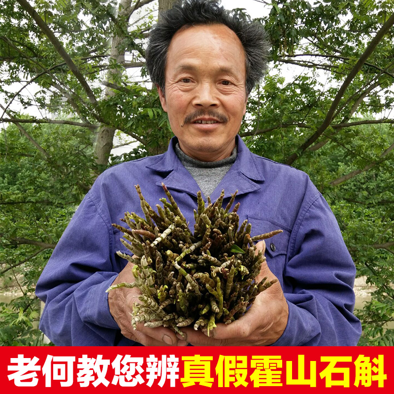 老何家 霍山铁皮石斛鲜条三年生霍山石斛苗铁皮石斛枫斗 当日现采