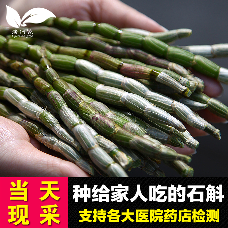 老何家 霍山铁皮石斛鲜条石斛枫斗四年新鲜仿野生种植霍山石斛苗