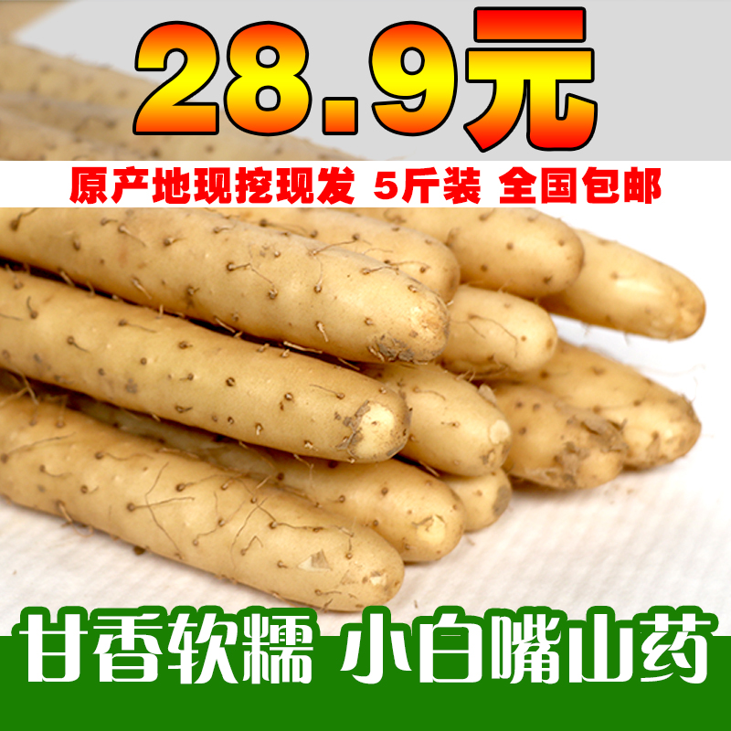 小白嘴白山药 安平特产麻山药怀淮山比铁棍新鲜包邮一亩白土地5斤