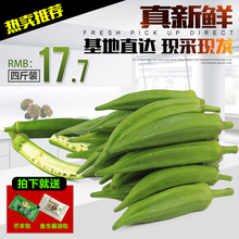 4斤 无公害蔬菜农家蔬菜秋葵新鲜黄秋葵 新鲜秋葵 17.7元