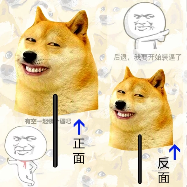 冰影创意 精神污染烦神狗doge魔性扇子 装逼男神女神蒲扇动漫周边