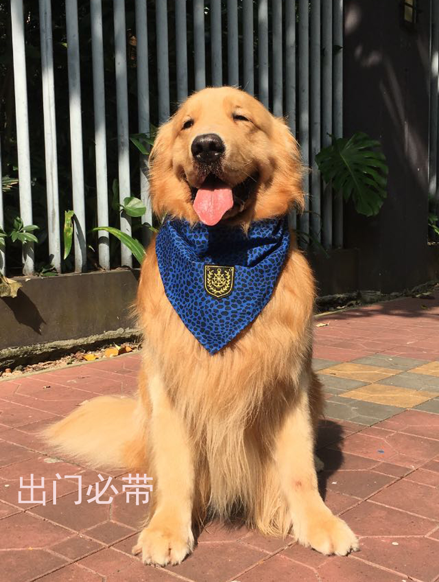 大型犬萨摩狗狗口水巾可爱斑点狗围巾加大围脖领巾冬季宠物三角巾