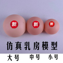 催乳师培训软硅胶假乳房家政技校医院示范教学用乳房模型教具