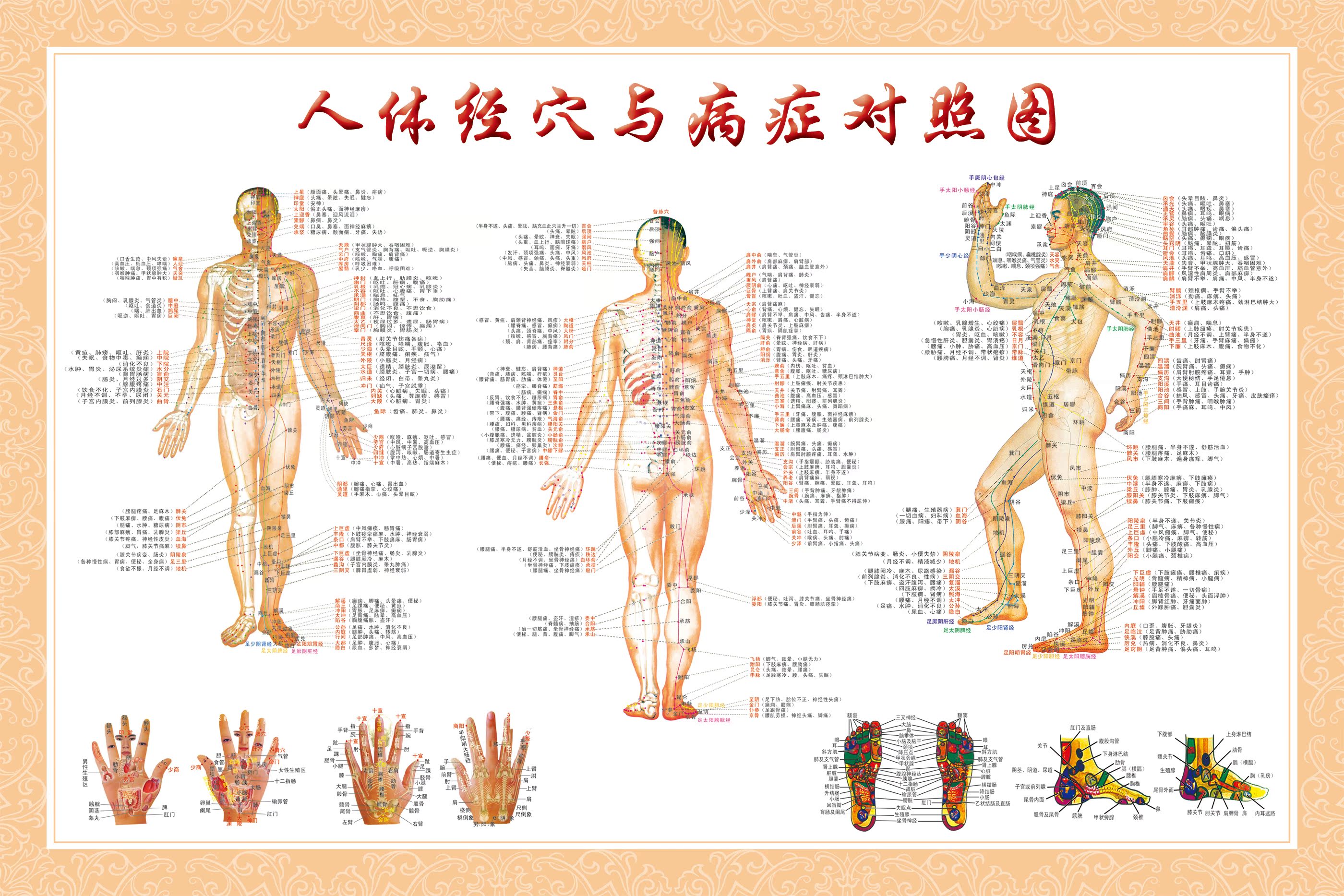 中医艾灸穴位图人体穴位图大挂图图解全身经络病症对照图针灸挂画