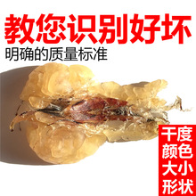 林蛙油雪哈雪蛤油蛤蟆油雪蛤膏干货 长白山雪蛤正品 泡发100倍