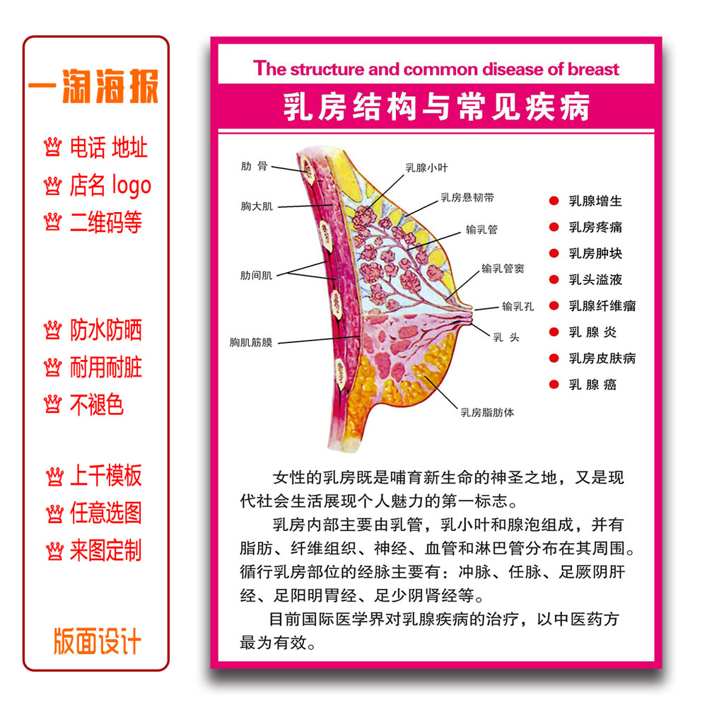 美容养生海报乳房结构与常见疾病定制中医挂画养生馆宣传广告写真