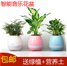 盆栽绿植花盆花瓶 音乐花盆音响花盘智能蓝牙音箱会唱歌可弹琴
