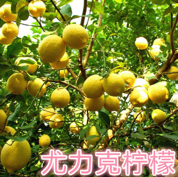 ޽ļˮ  ޺統Ե